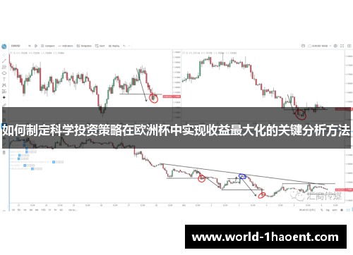 如何制定科学投资策略在欧洲杯中实现收益最大化的关键分析方法