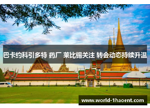 巴卡约科引多特 药厂 莱比锡关注 转会动态持续升温