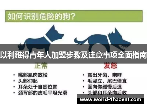 以利雅得青年人加盟步骤及注意事项全面指南