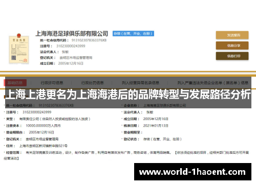 上海上港更名为上海海港后的品牌转型与发展路径分析