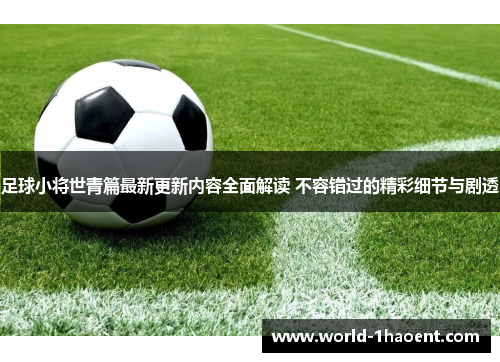 足球小将世青篇最新更新内容全面解读 不容错过的精彩细节与剧透