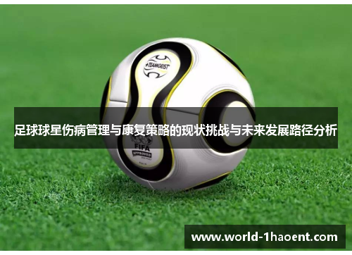 足球球星伤病管理与康复策略的现状挑战与未来发展路径分析